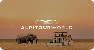 Safari